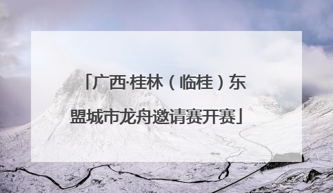 广西·桂林（临桂）东盟城市龙舟邀请赛开赛