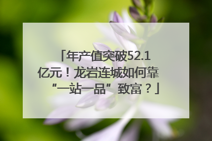 年产值突破52.1亿元！龙岩连城如何靠“一站一品”致富？