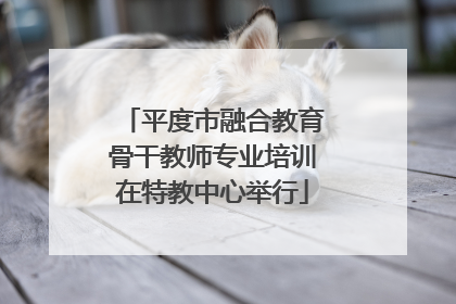 平度市融合教育骨干教师专业培训在特教中心举行