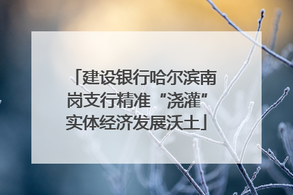 建设银行哈尔滨南岗支行精准“浇灌”实体经济发展沃土