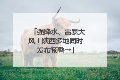 强降水、雷暴大风！陕西多地同时发布预警→