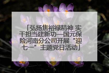 弘扬焦裕禄精神 实干担当建新功—国元保险河南分公司开展“迎七一”主题党日活动