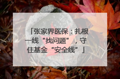 张家界医保：扎根一线“找问题”，守住基金“安全线”