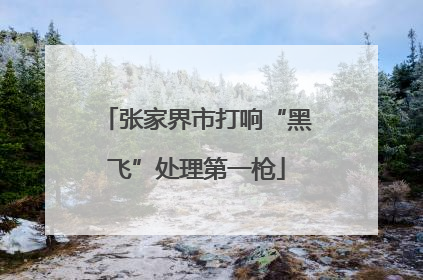 张家界市打响“黑飞”处理第一枪
