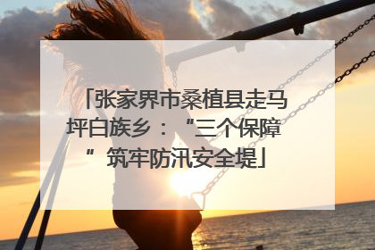 张家界市桑植县走马坪白族乡：“三个保障”筑牢防汛安全堤