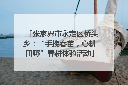 张家界市永定区桥头乡：“手挽春苗，心耕田野”春耕体验活动