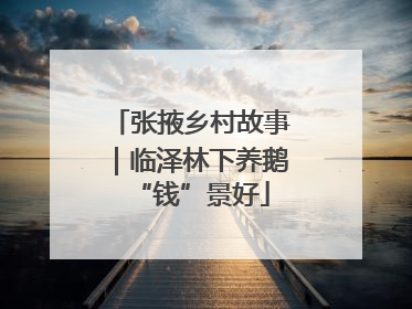 张掖乡村故事｜临泽林下养鹅“钱”景好