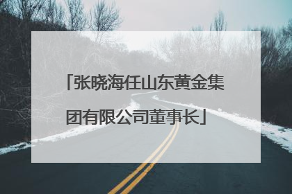 张晓海任山东黄金集团有限公司董事长