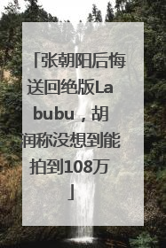 张朝阳后悔送回绝版Labubu，胡润称没想到能拍到108万