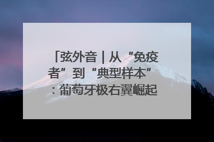 弦外音｜从“免疫者”到“典型样本”：葡萄牙极右翼崛起背后的欧洲困局