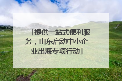 提供一站式便利服务，山东启动中小企业出海专项行动
