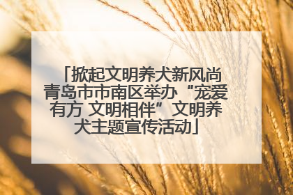 掀起文明养犬新风尚 青岛市市南区举办“宠爱有方 文明相伴”文明养犬主题宣传活动