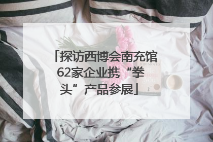 探访西博会南充馆 62家企业携“拳头”产品参展