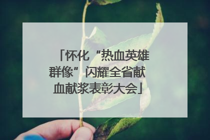 怀化“热血英雄群像”闪耀全省献血献浆表彰大会