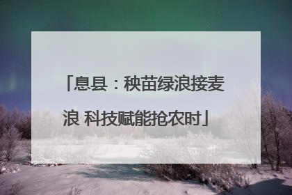 息县：秧苗绿浪接麦浪 科技赋能抢农时