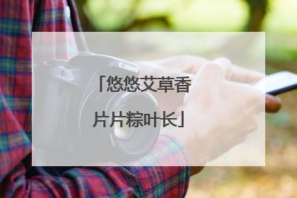 悠悠艾草香 片片粽叶长