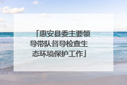 惠安县委主要领导带队督导检查生态环境保护工作