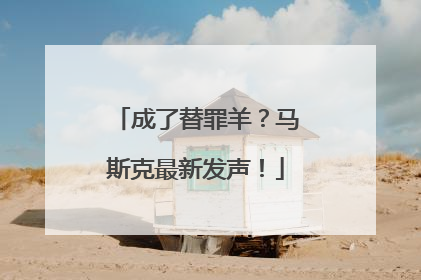 成了替罪羊？马斯克最新发声！