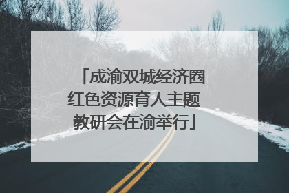 成渝双城经济圈红色资源育人主题教研会在渝举行