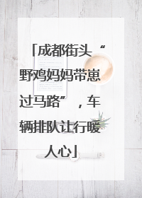 成都街头“野鸡妈妈带崽过马路”，车辆排队让行暖人心