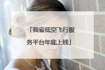 我省低空飞行服务平台年底上线