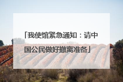 我使馆紧急通知：请中国公民做好撤离准备