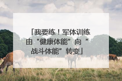我要练！军体训练由“健康体能”向“战斗体能”转变