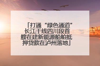 打通“绿色通道” 长江干线四川段首艘在建新能源船舶抵押贷款在泸州落地