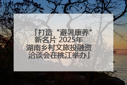 打造“避暑康养”新名片 2025年湖南乡村文旅投融资洽谈会在桃江举办