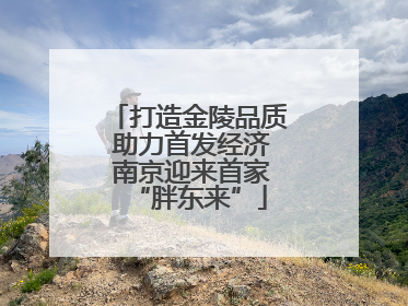 打造金陵品质 助力首发经济 南京迎来首家“胖东来”