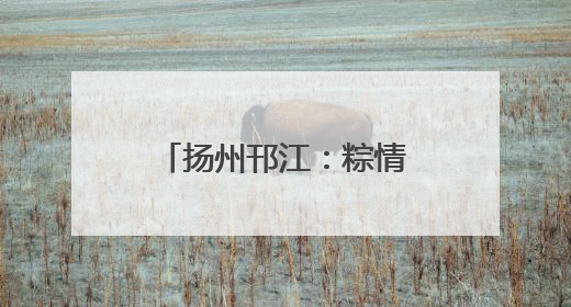 扬州邗江：粽情端午 爱满东兴