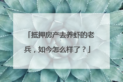 抵押房产去养虾的老兵，如今怎么样了？