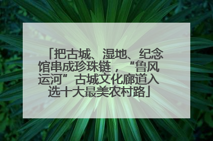 把古城、湿地、纪念馆串成珍珠链，“鲁风运河”古城文化廊道入选十大最美农村路