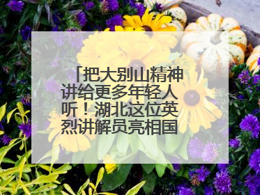 把大别山精神讲给更多年轻人听！湖北这位英烈讲解员亮相国新办记者会