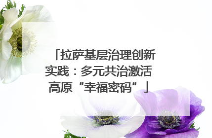拉萨基层治理创新实践：多元共治激活高原“幸福密码”