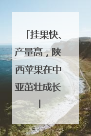 挂果快、产量高，陕西苹果在中亚茁壮成长