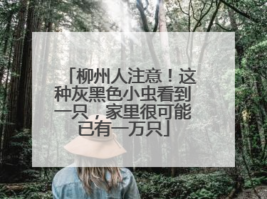 柳州人注意！这种灰黑色小虫看到一只，家里很可能已有一万只