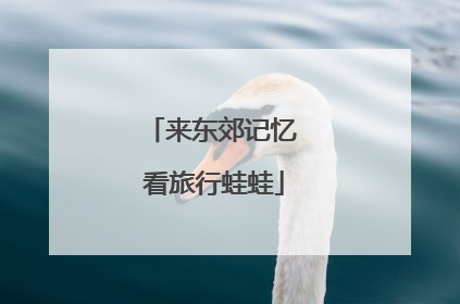 来东郊记忆 看旅行蛙蛙