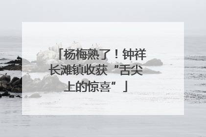 杨梅熟了！钟祥长滩镇收获“舌尖上的惊喜”