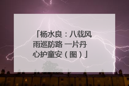 杨水良：八载风雨巡防路 一片丹心护童安（图）