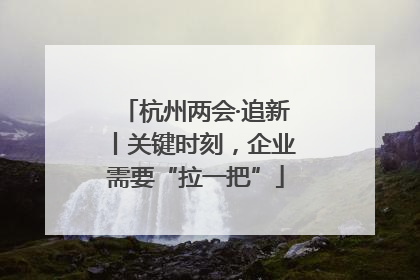 杭州两会·追新丨关键时刻，企业需要“拉一把”
