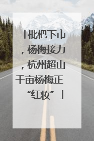 枇杷下市，杨梅接力，杭州超山千亩杨梅正“红妆”