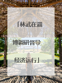林武在淄博调研督导经济运行