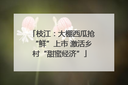 枝江：大棚西瓜抢“鲜”上市 激活乡村“甜蜜经济”