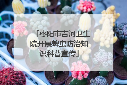 枣阳市吉河卫生院开展蜱虫防治知识科普宣传