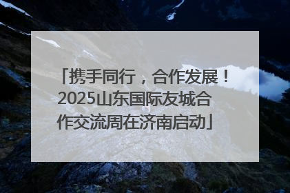 携手同行，合作发展！2025山东国际友城合作交流周在济南启动