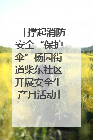 撑起消防安全“保护伞”杨园街道柴东社区开展安全生产月活动