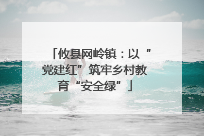 攸县网岭镇：以“党建红”筑牢乡村教育“安全绿”