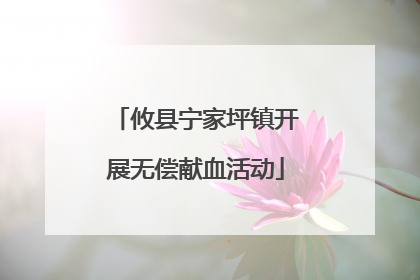 攸县宁家坪镇开展无偿献血活动