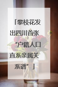 攀枝花发出四川首张“户籍人口直系亲属关系谱”
